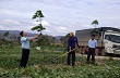 Công ty TNHH một thành viên Cao su Chư Prông: Thực hiện tốt việc chuyển rừng nghèo sang trồng cao su